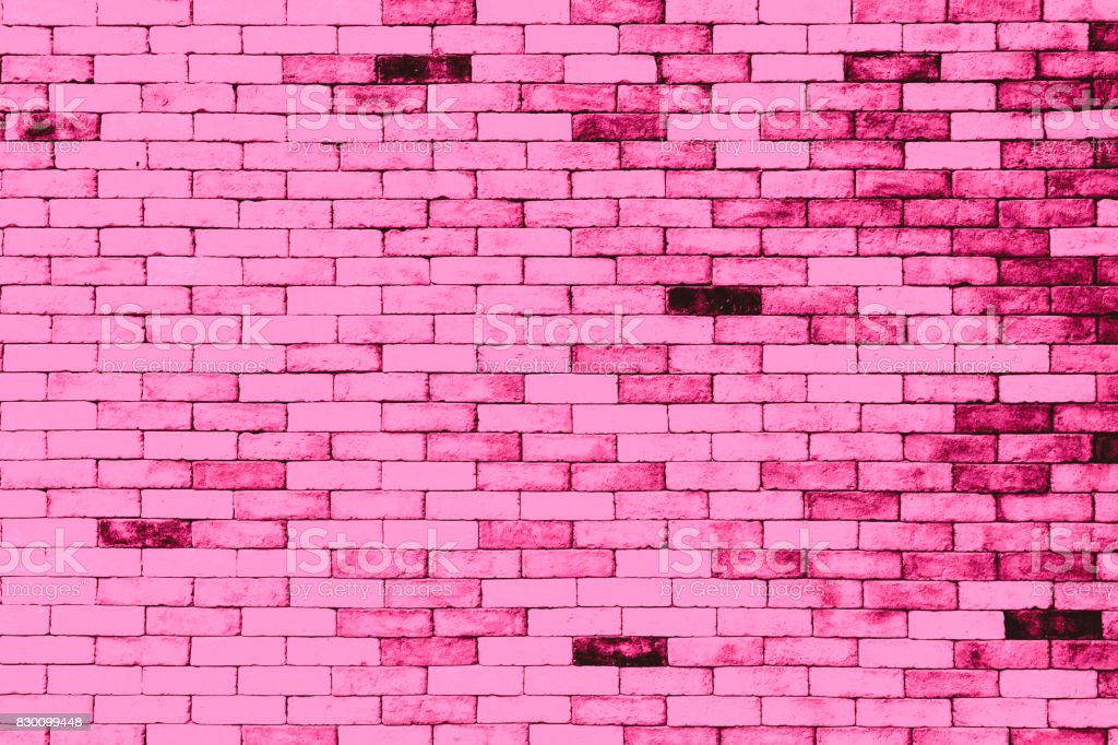 Detail Latar Warna Pink Nomer 49