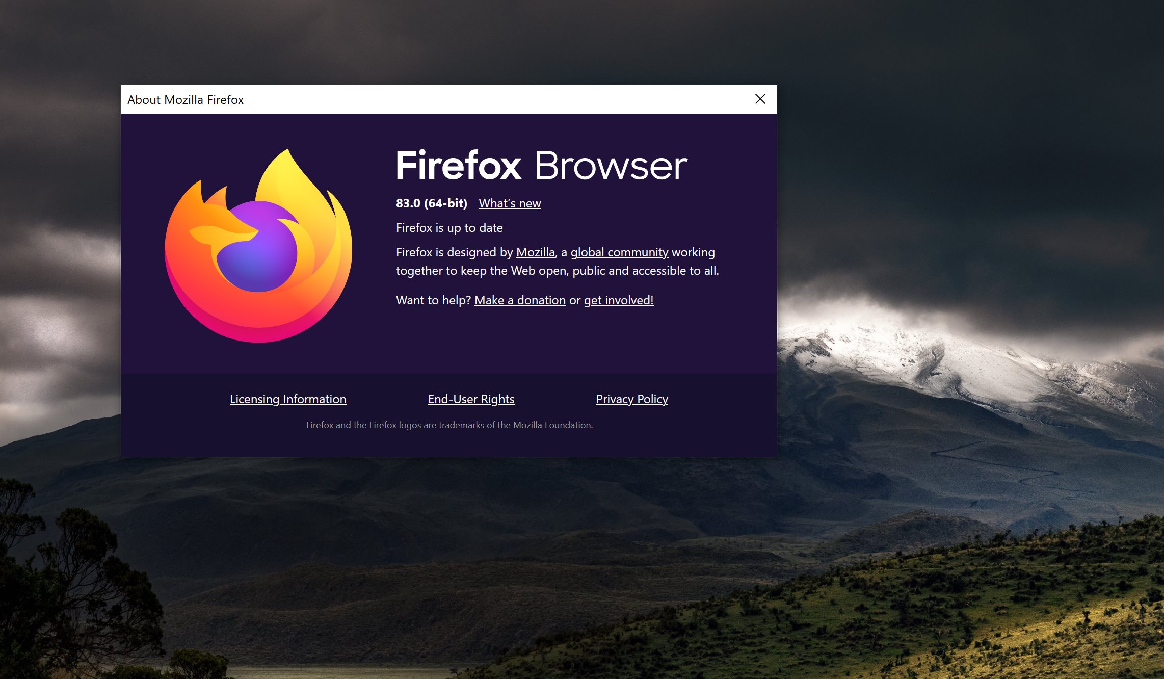 Detail Latest Firefox Version Nomer 19