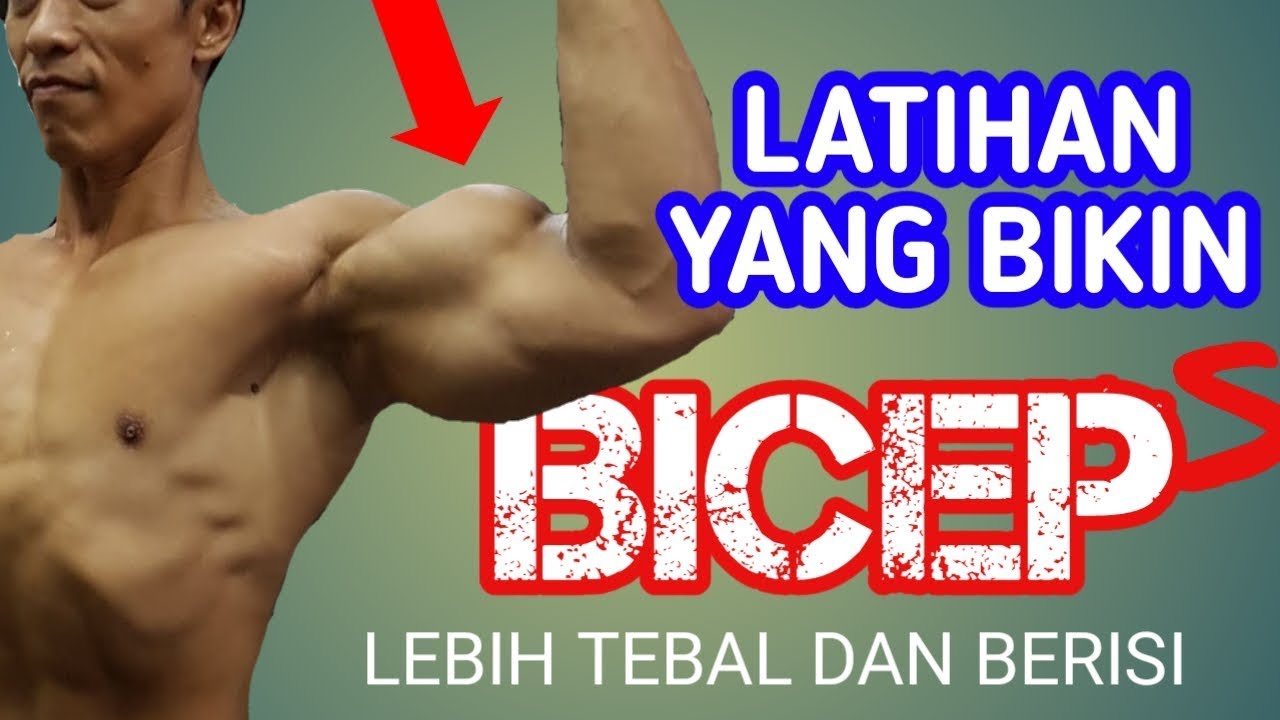 Detail Latihan Biceps Di Rumah Nomer 15