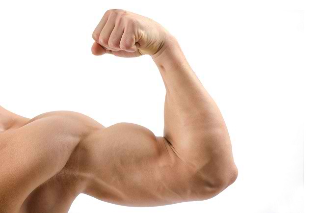 Detail Latihan Biceps Di Rumah Nomer 35