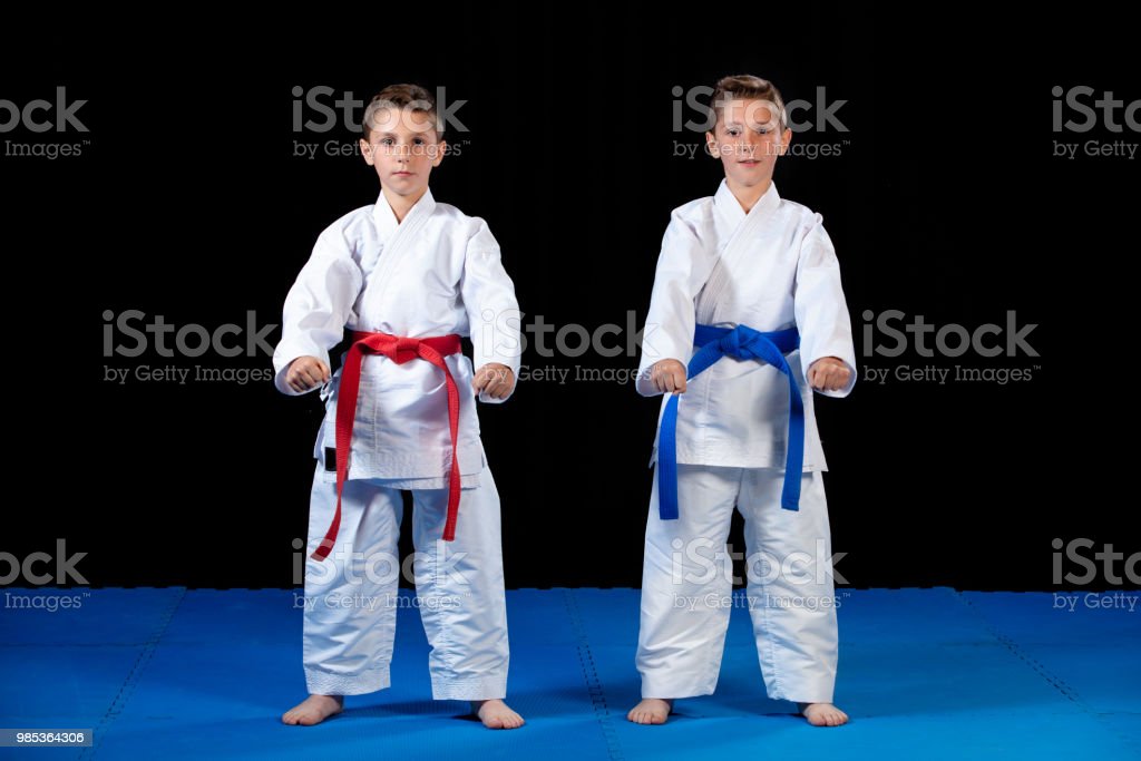 Detail Latihan Karate Anak Nomer 41