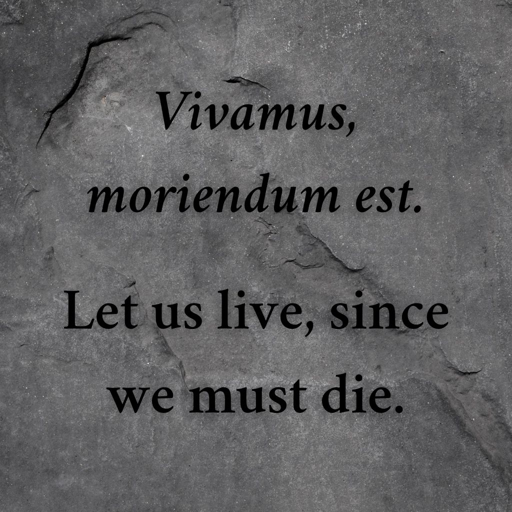 Detail Latin Quotes About Life Nomer 14