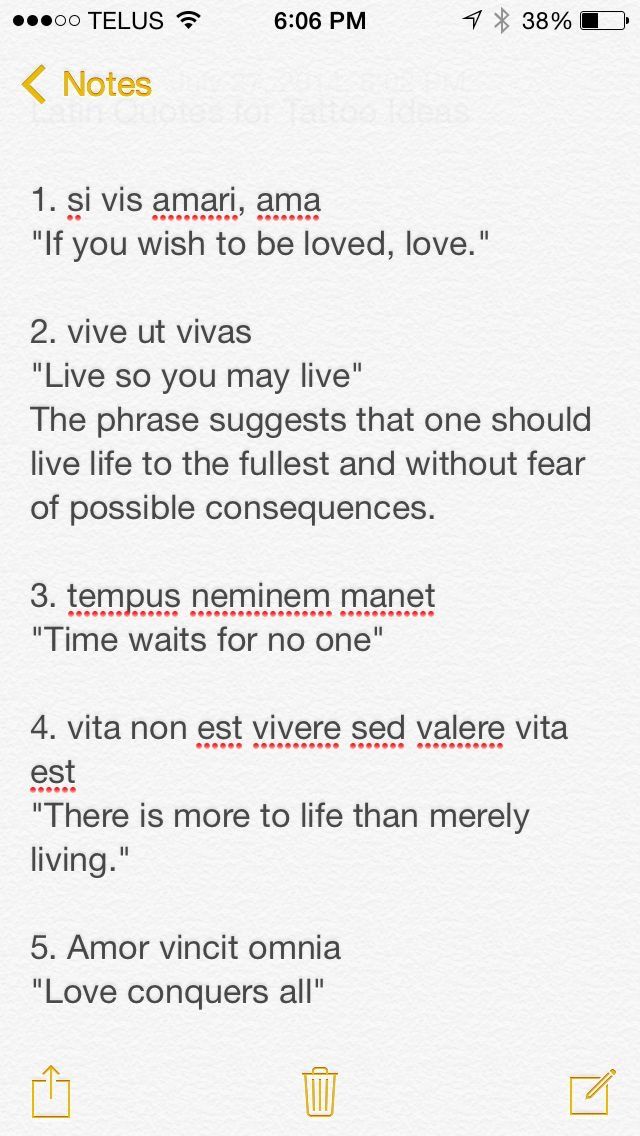 Detail Latin Quotes About Life Nomer 30