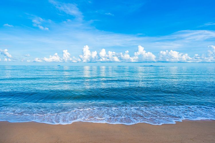 Detail Laut Dan Pantai Nomer 10
