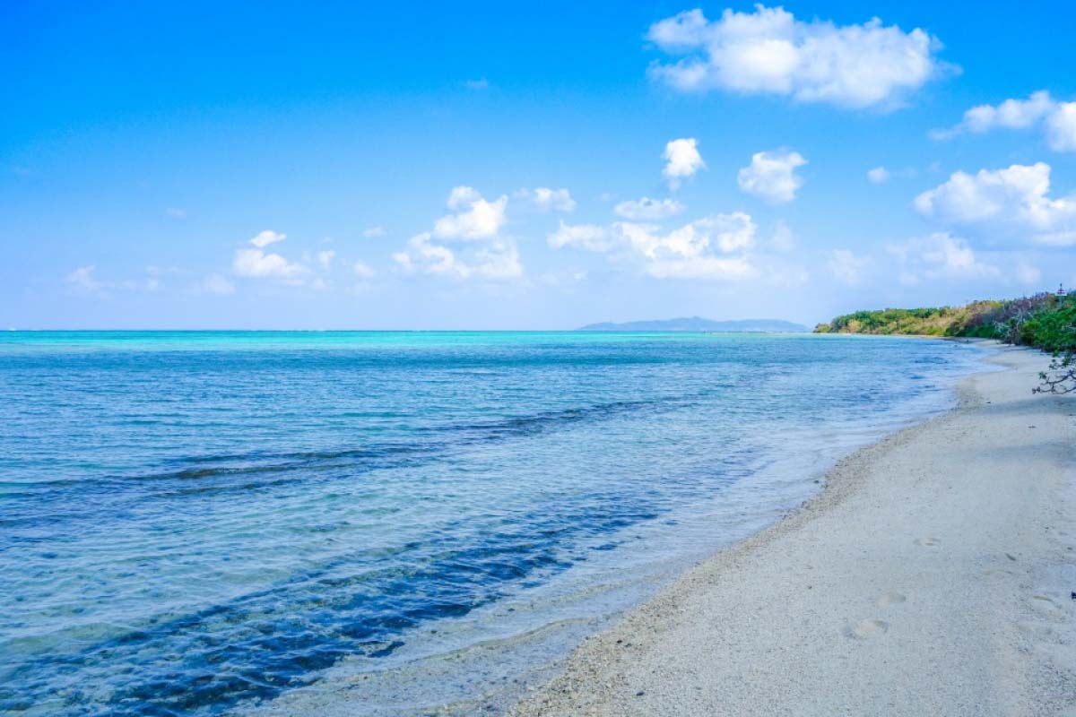 Detail Laut Dan Pantai Nomer 19