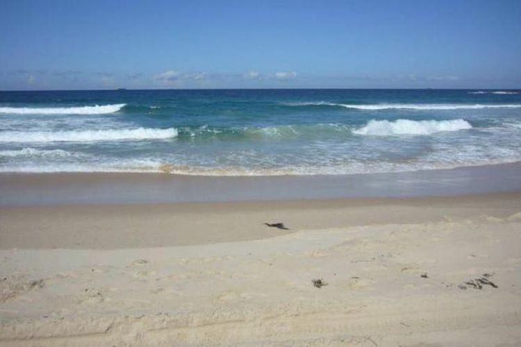 Detail Laut Dan Pantai Nomer 24