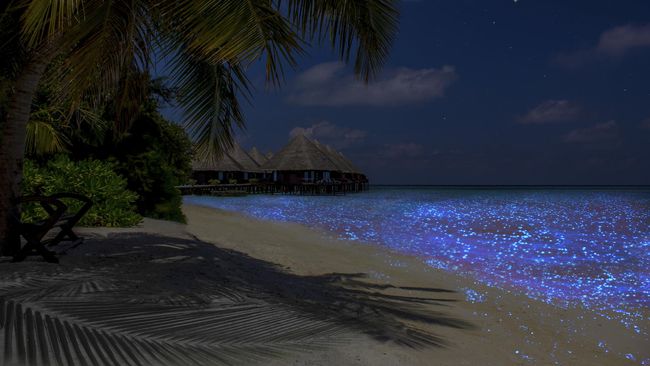Detail Laut Dan Pantai Nomer 38