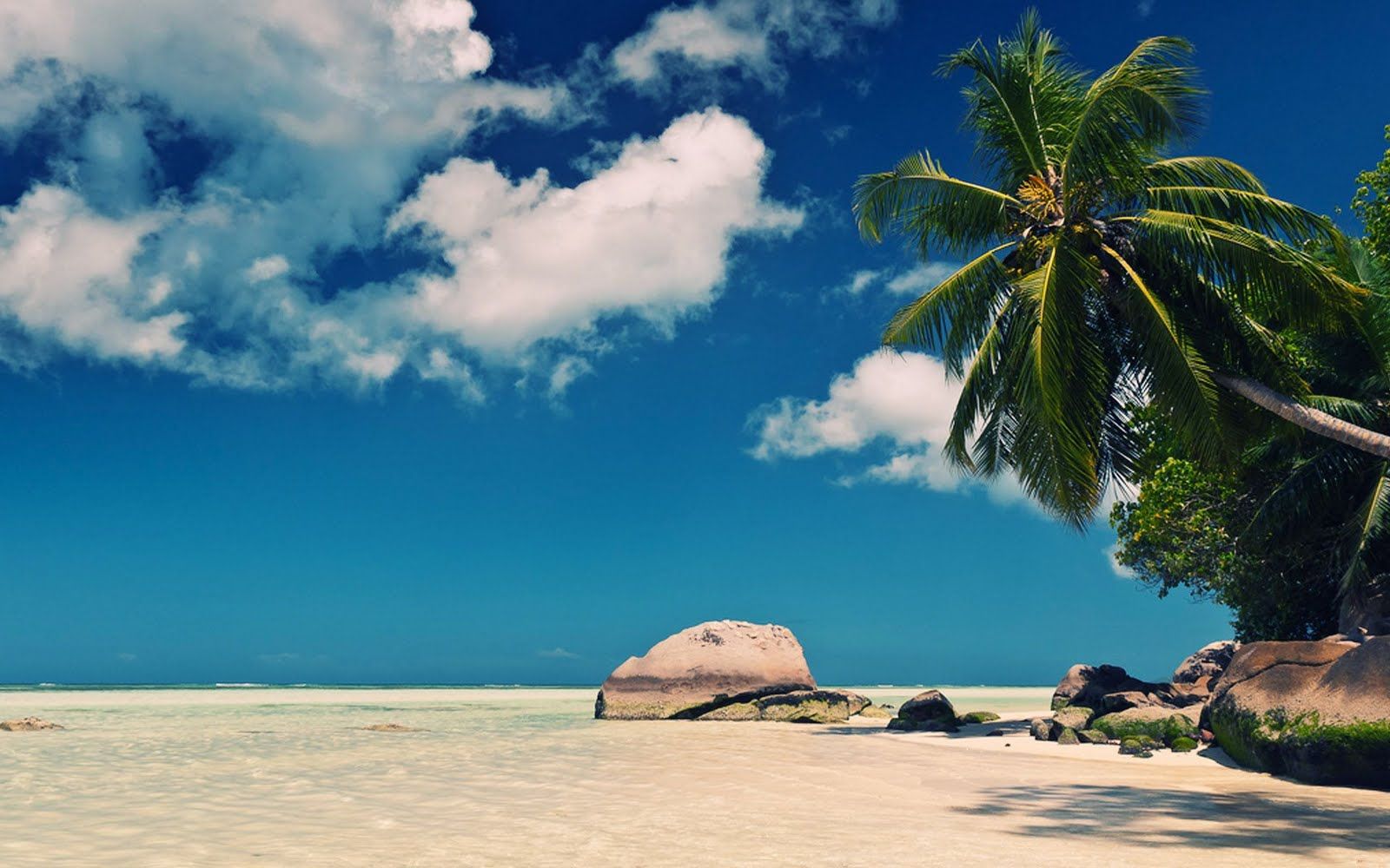 Detail Laut Dan Pantai Nomer 8