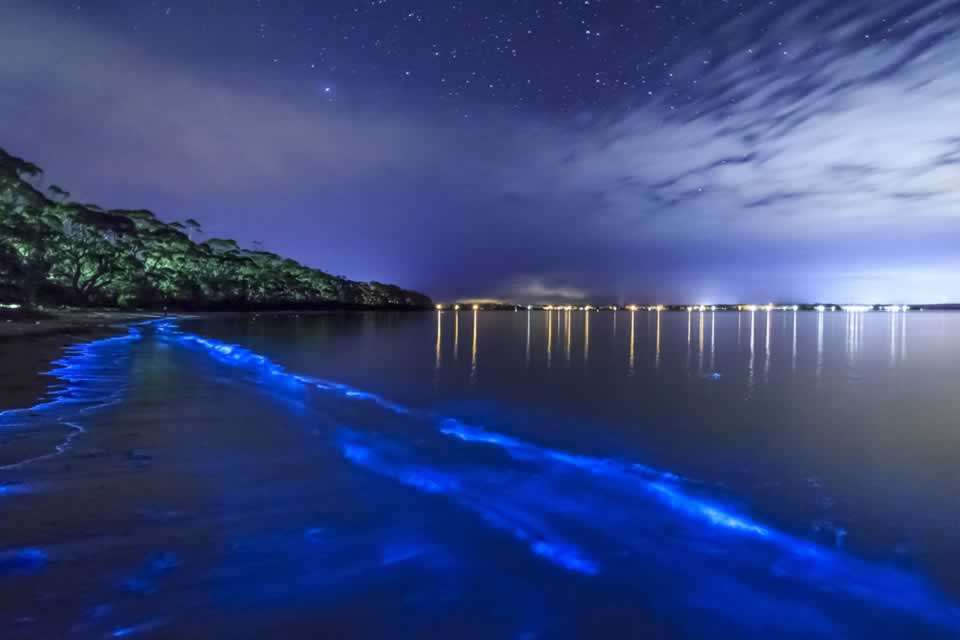 Detail Laut Di Malam Hari Nomer 47