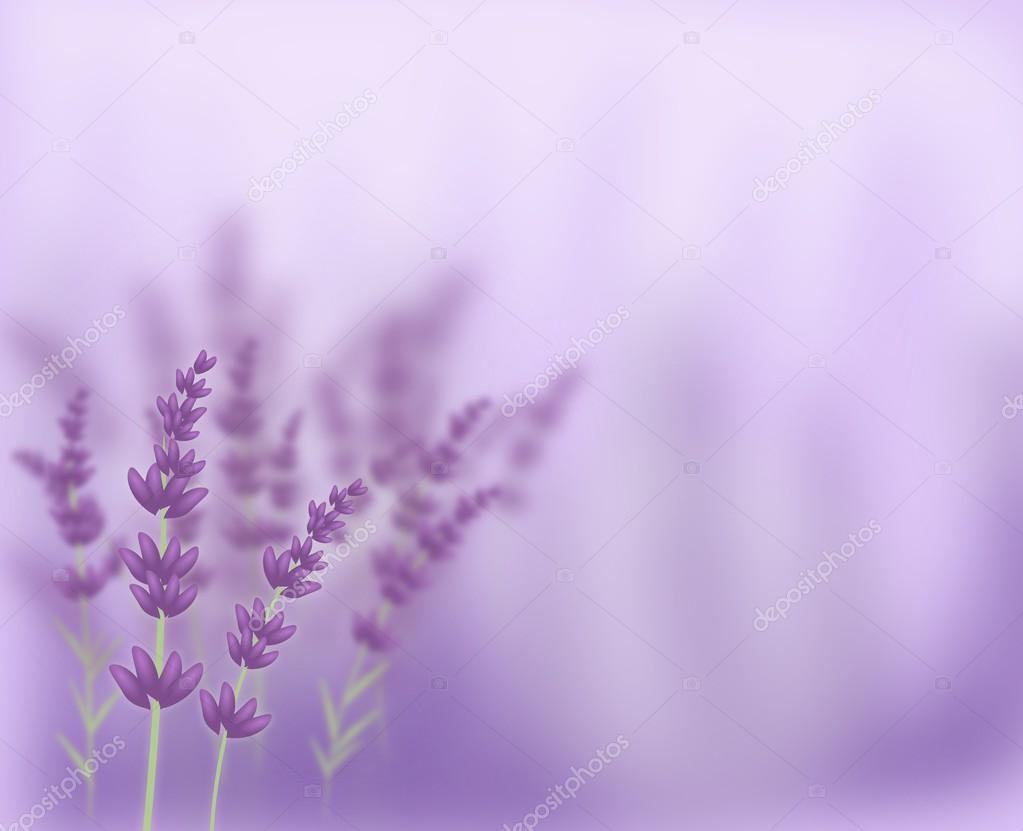 Detail Lavender Background Nomer 4