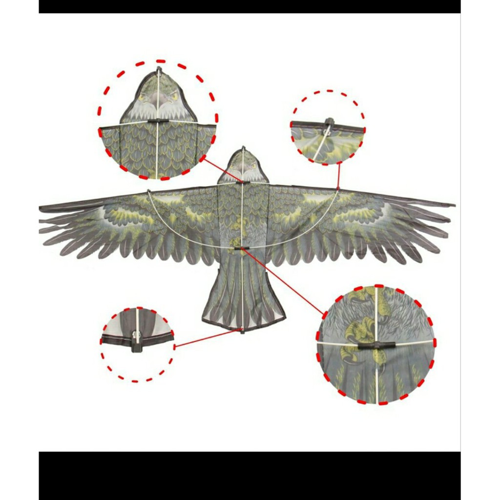 Detail Layang Layang Burung Elang Nomer 15