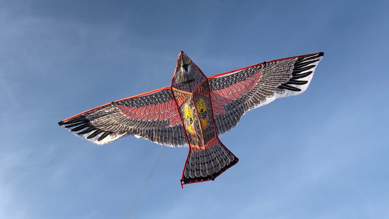 Detail Layang Layang Burung Garuda Nomer 14