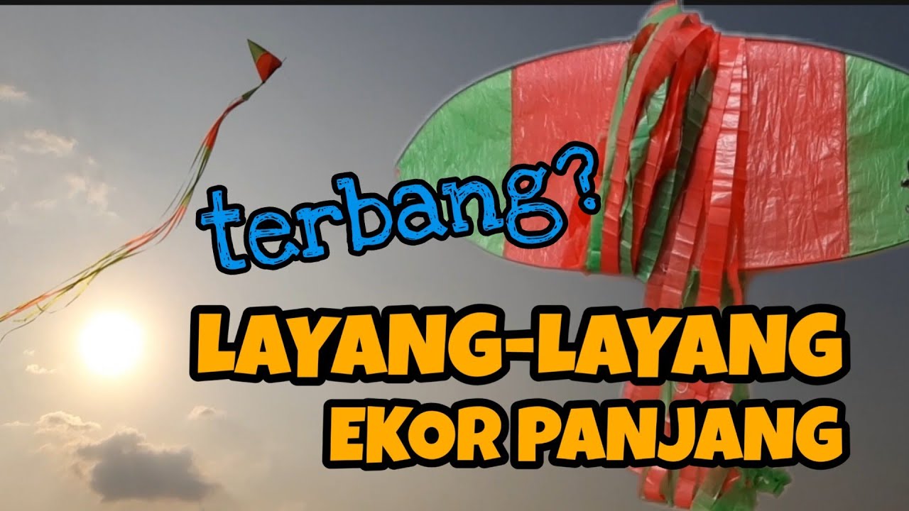 Detail Layang Layang Ekor Panjang Nomer 2