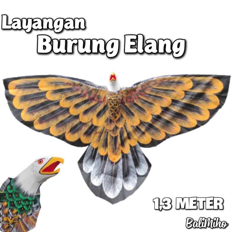 Detail Layang Layang Elang Nomer 19