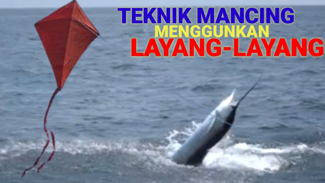 Detail Layang Layang Ikan Nomer 55