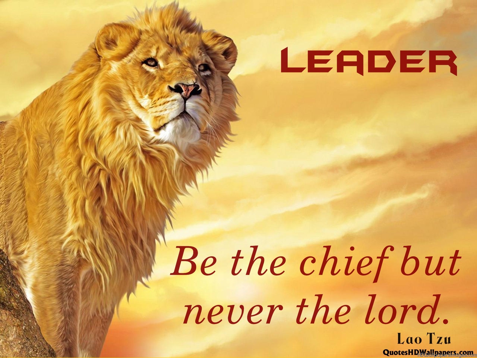 Detail Leadership Wallpaper Nomer 48