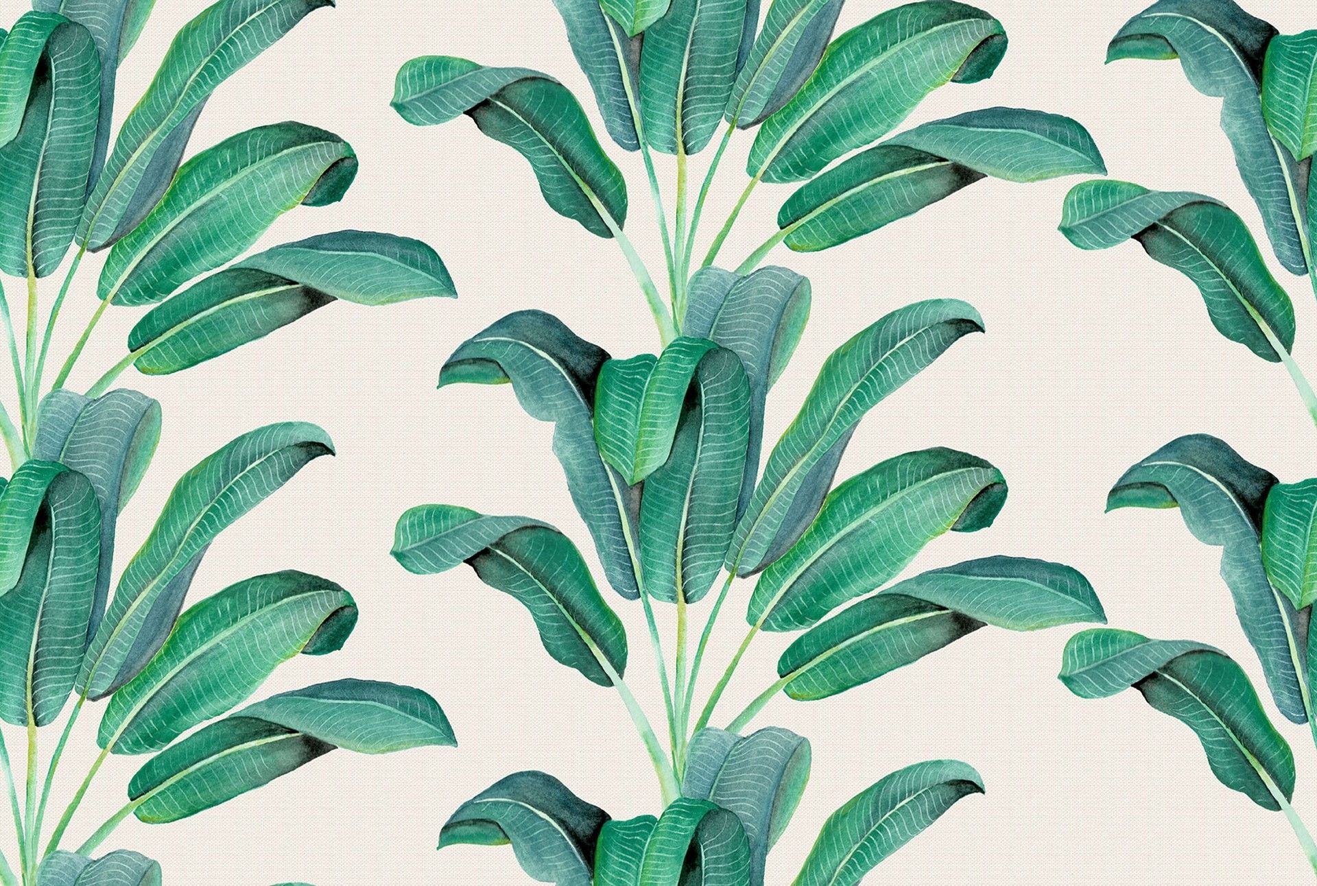 Detail Leaf Background Hd Nomer 35