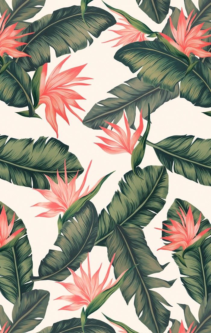 Detail Leaf Background Tumblr Nomer 19