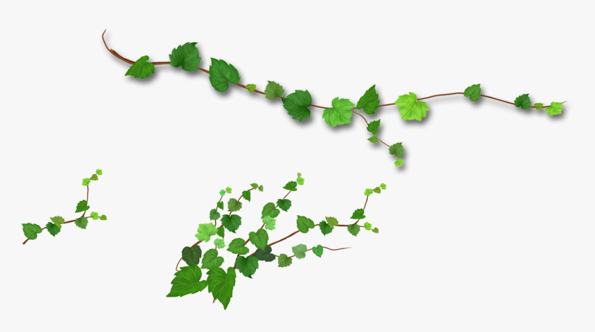 Detail Leaf Branch Png Nomer 27