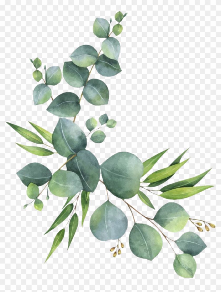 Detail Leaf Branch Png Nomer 28