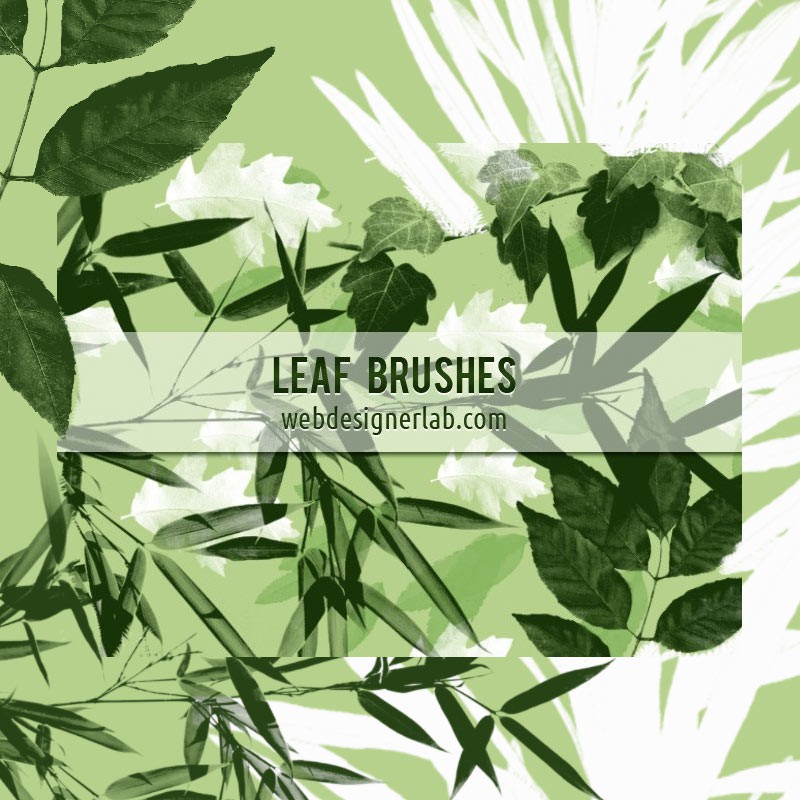 Detail Leaf Brush Photoshop Nomer 13