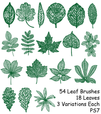 Detail Leaf Brush Photoshop Nomer 16