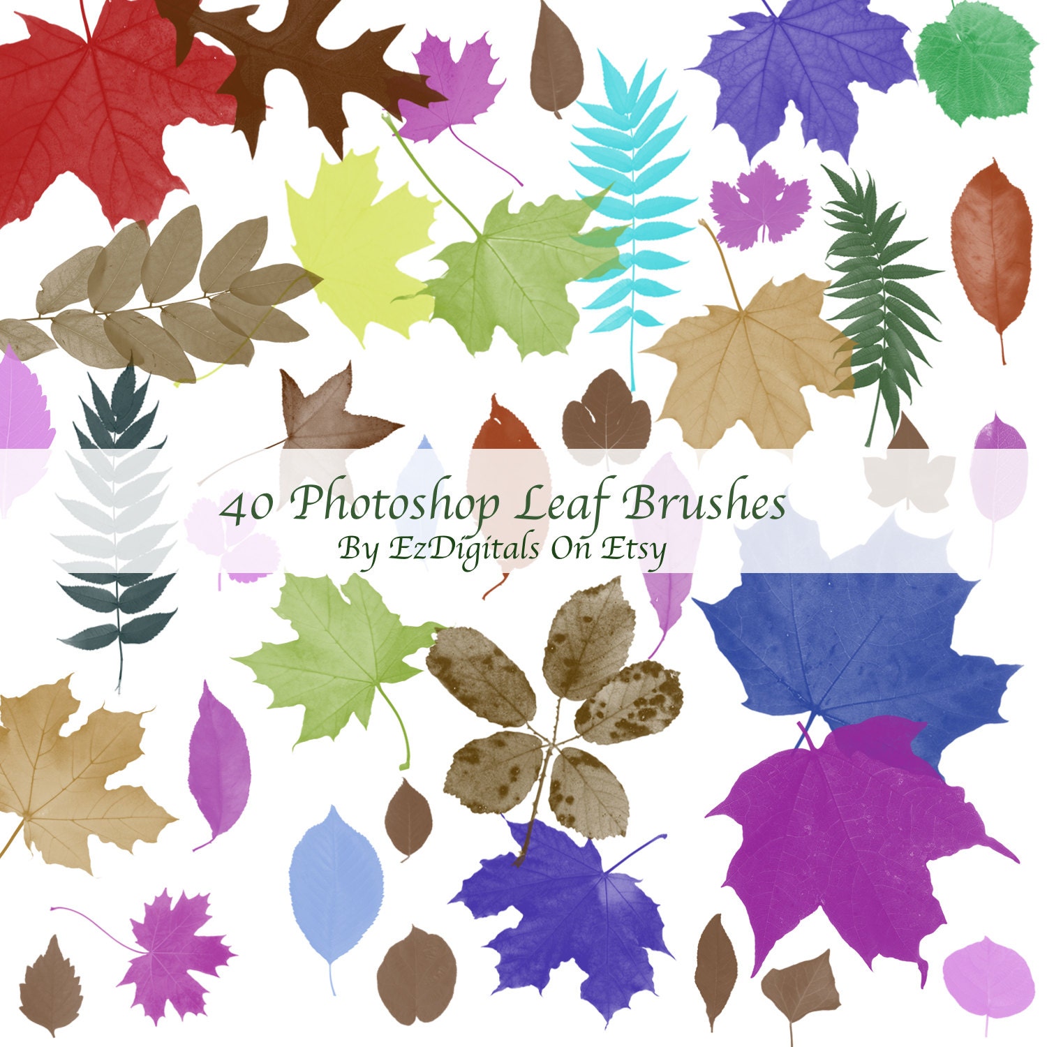 Download Leaf Brush Photoshop Nomer 37