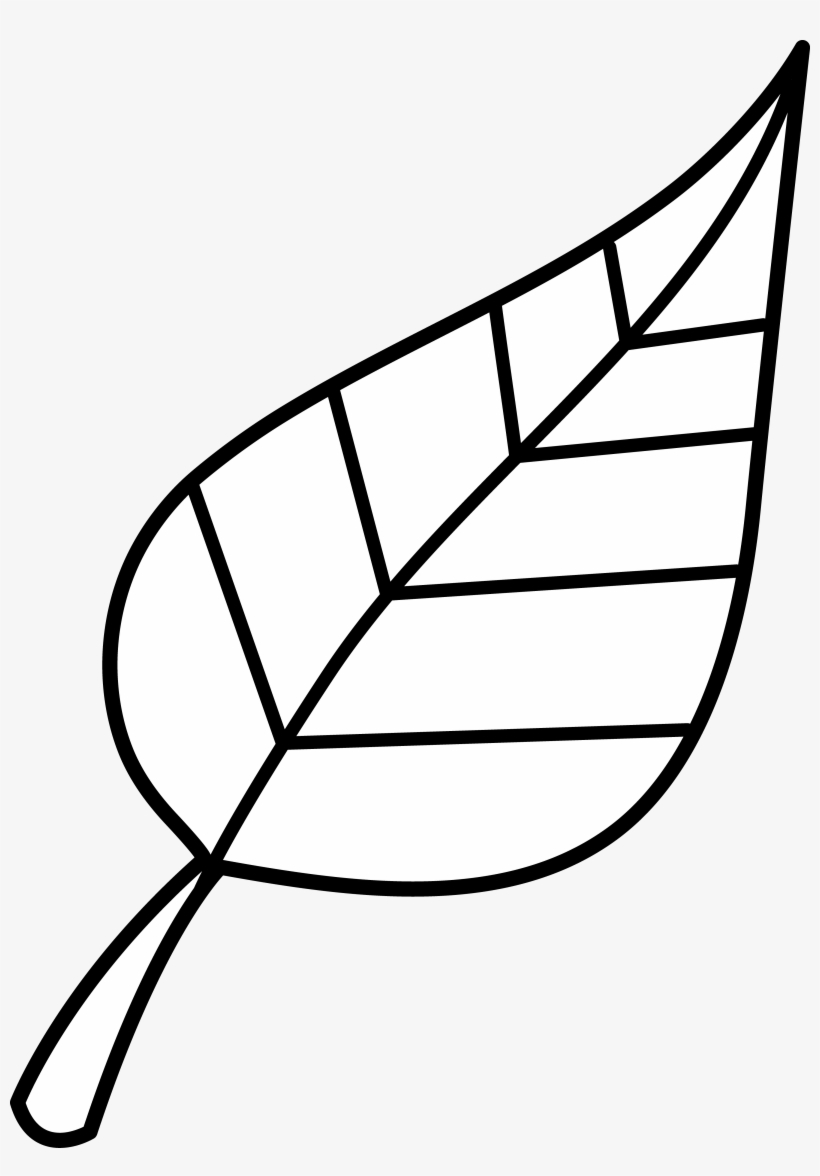 Detail Leaf Clip Art Png Nomer 28