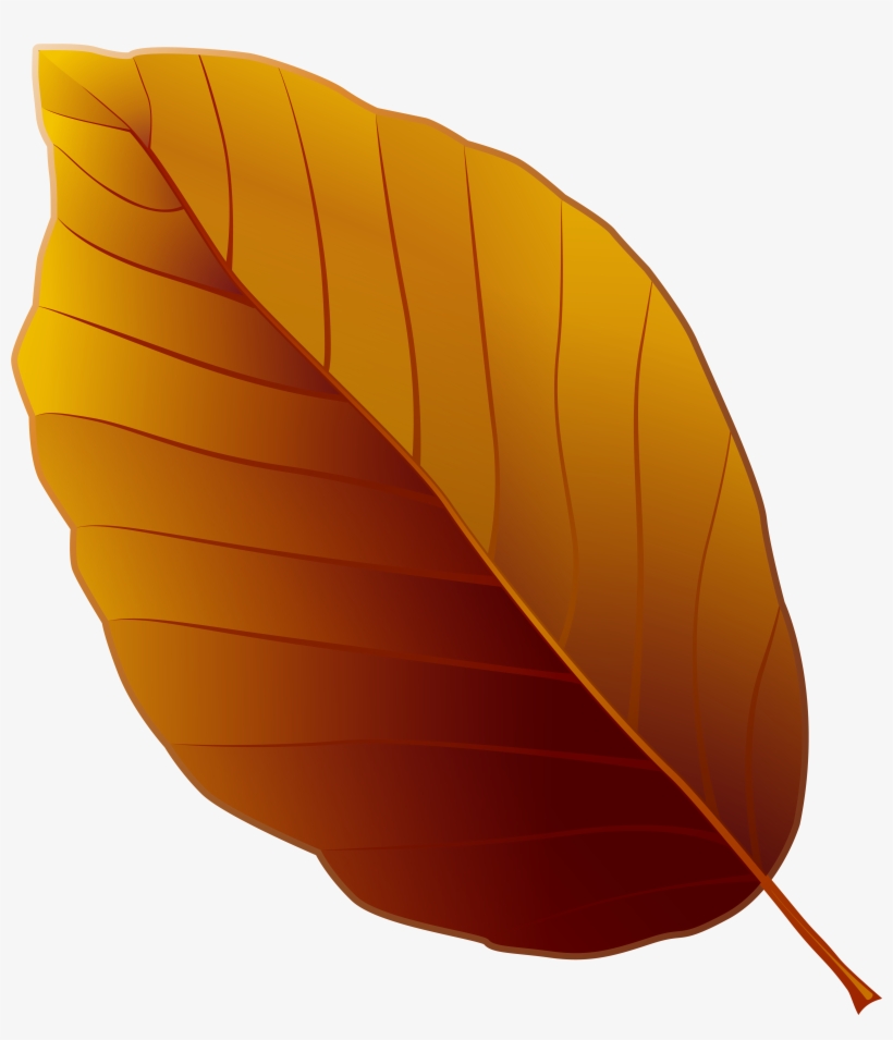 Detail Leaf Clipart Png Nomer 30