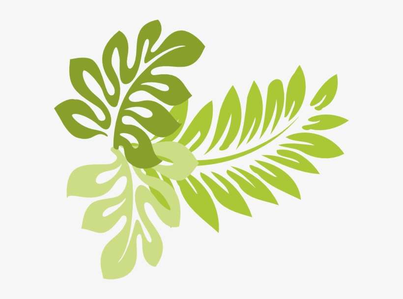 Detail Leaf Clipart Png Nomer 35