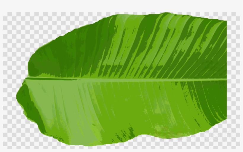 Detail Leaf Clipart Png Nomer 41