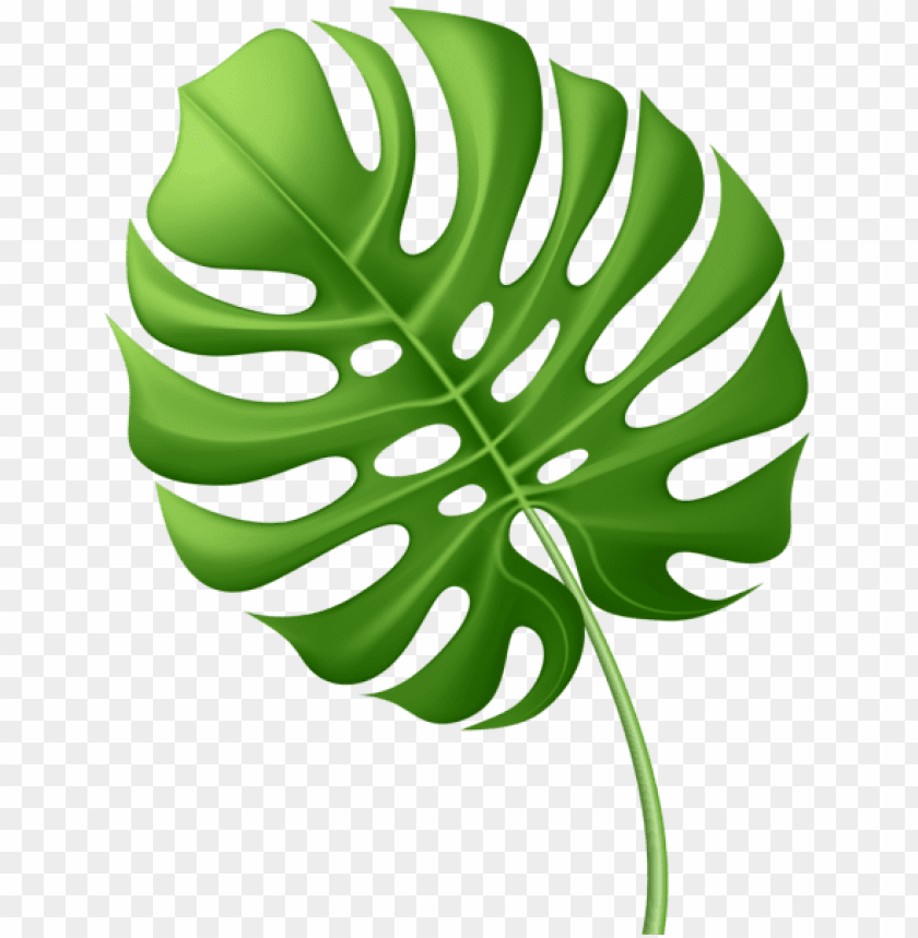 Detail Leaf Clipart Png Nomer 54