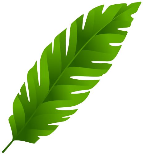 Detail Leaf Clipart Png Nomer 7