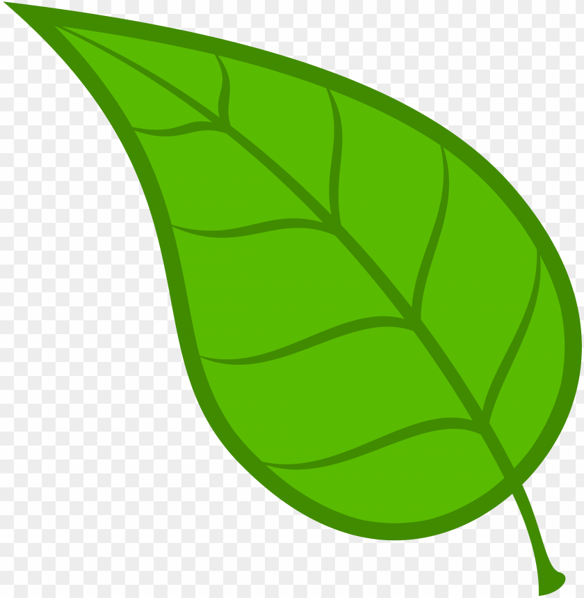 Leaf Clipart Transparent - KibrisPDR