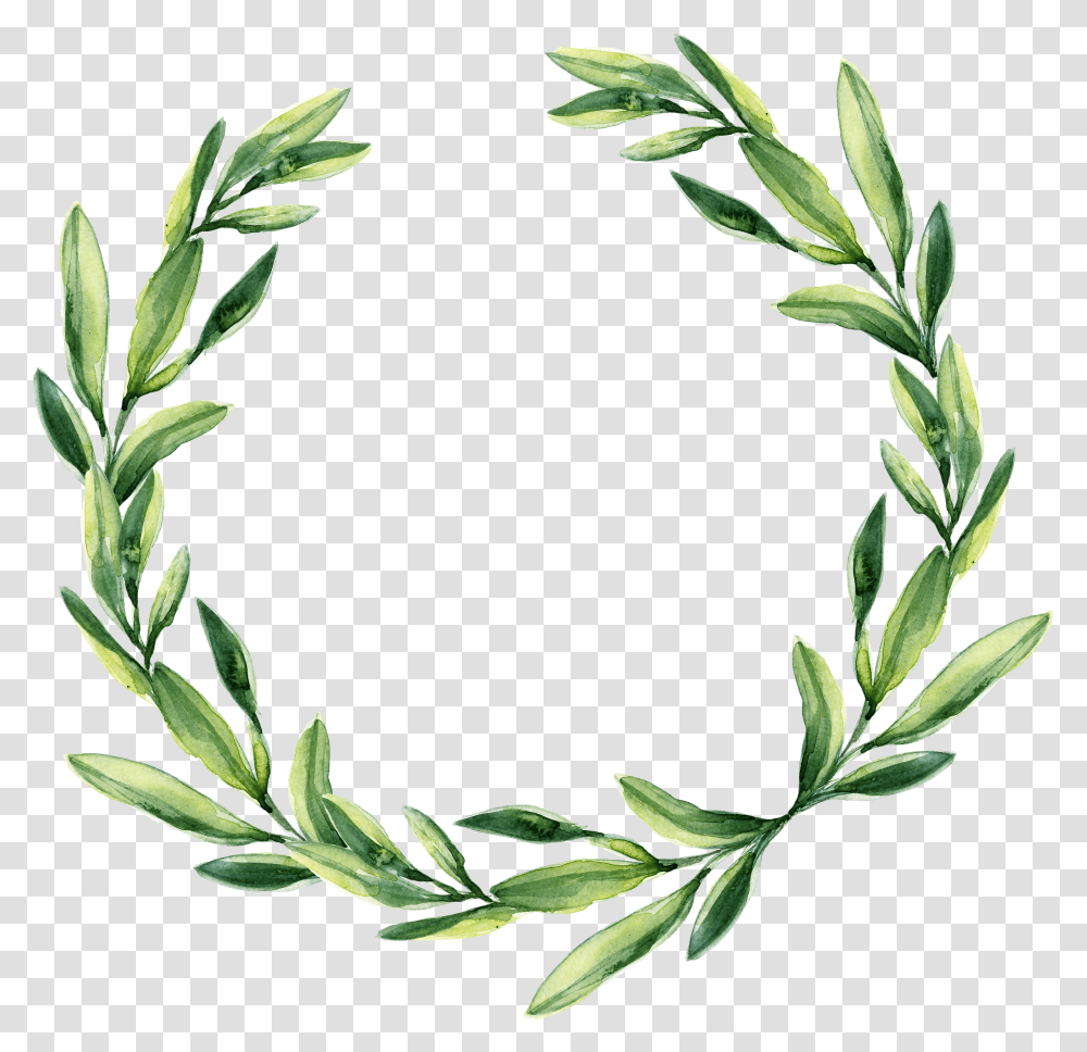 Detail Leaf Crown Clipart Nomer 13