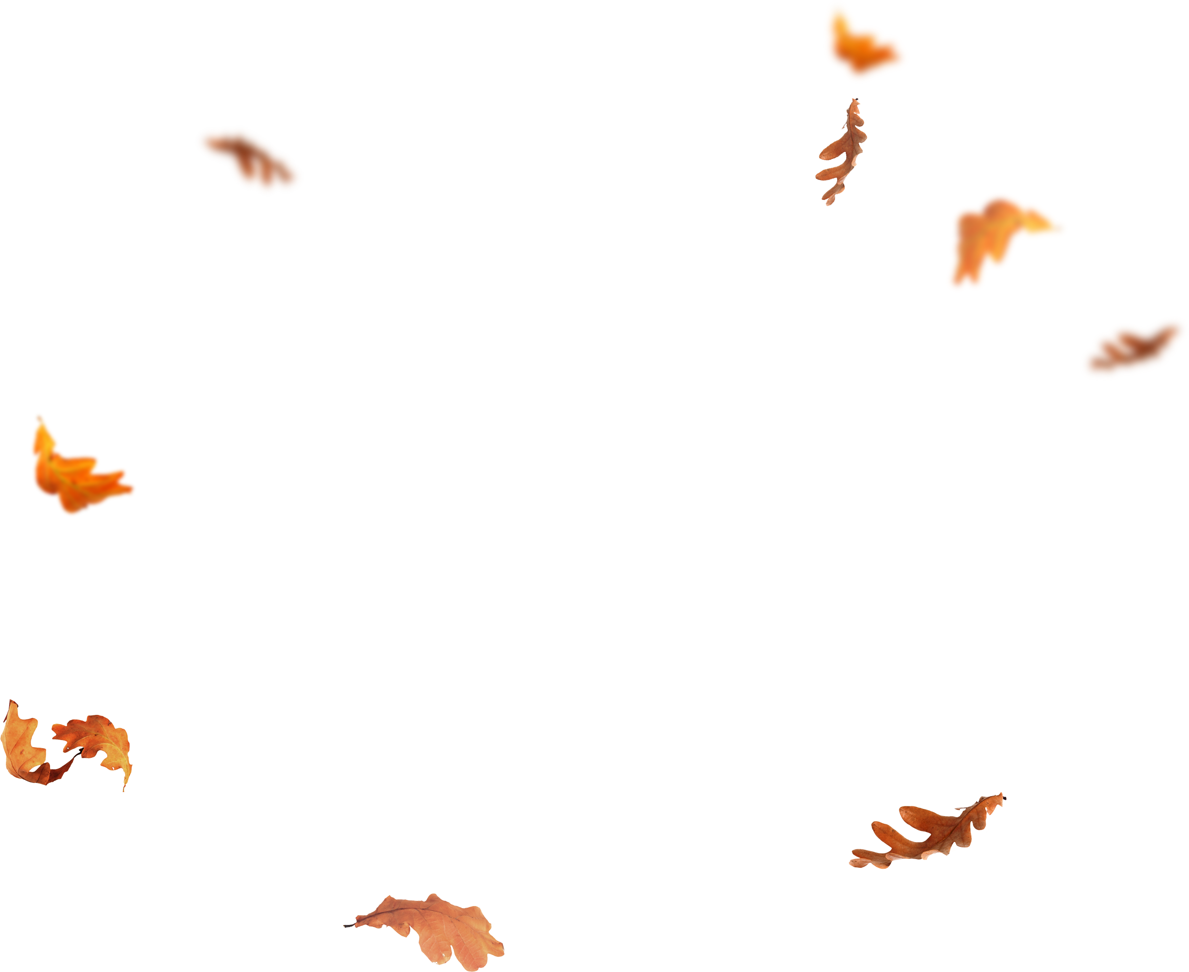 Detail Leaf Fall Png Nomer 3