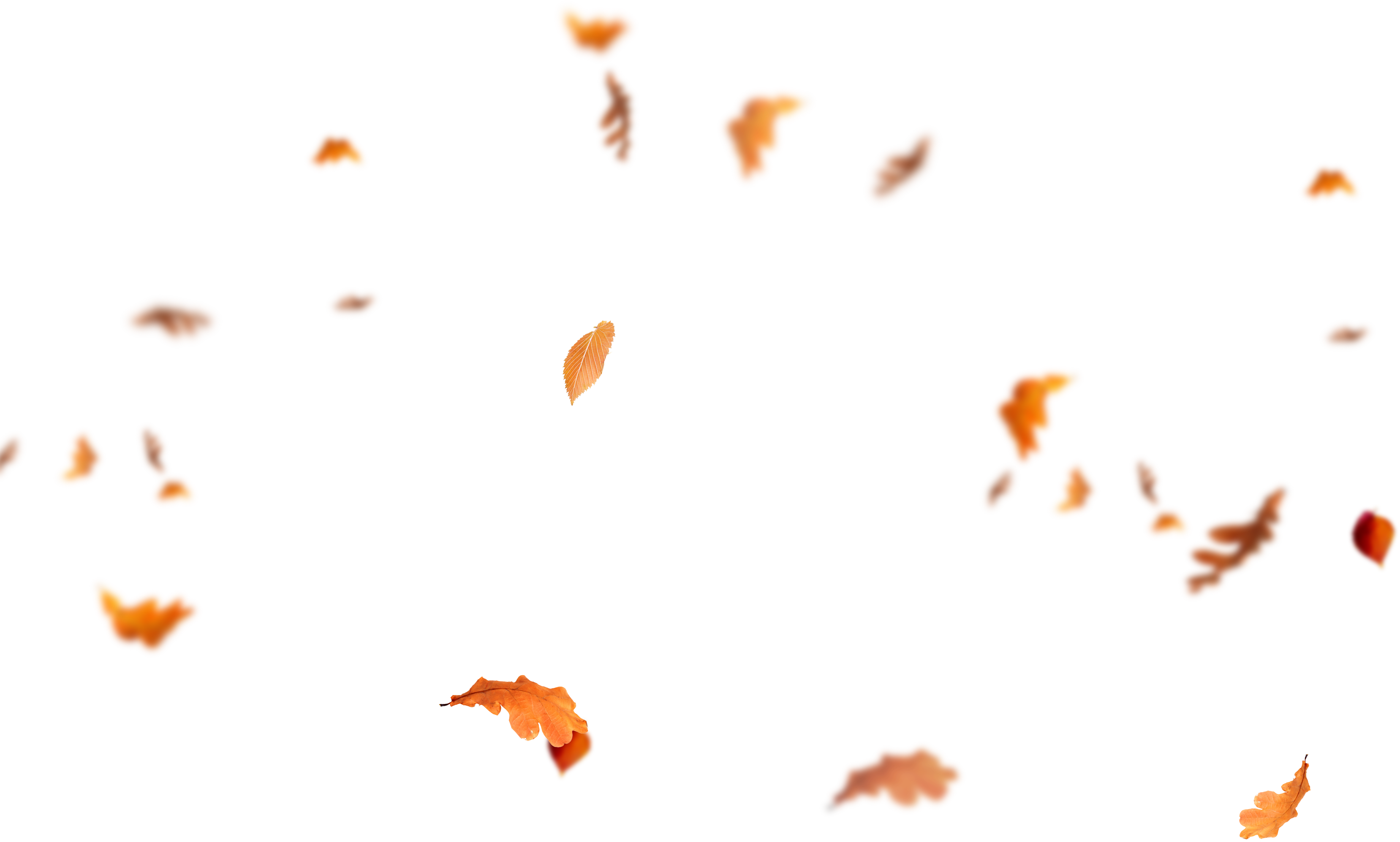 Detail Leaf Fall Png Nomer 9