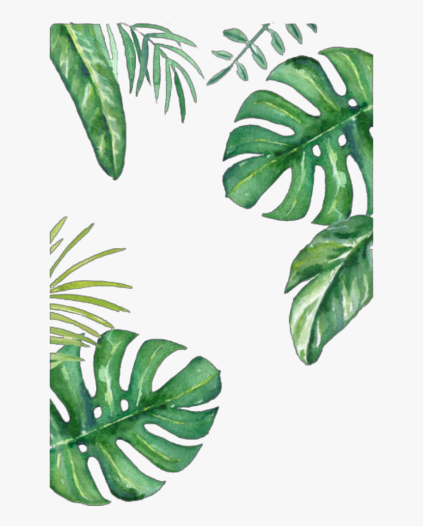 Detail Leaf Green Png Nomer 28