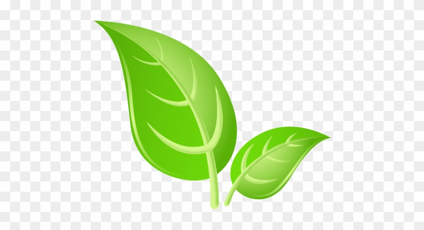 Detail Leaf Hd Png Nomer 2