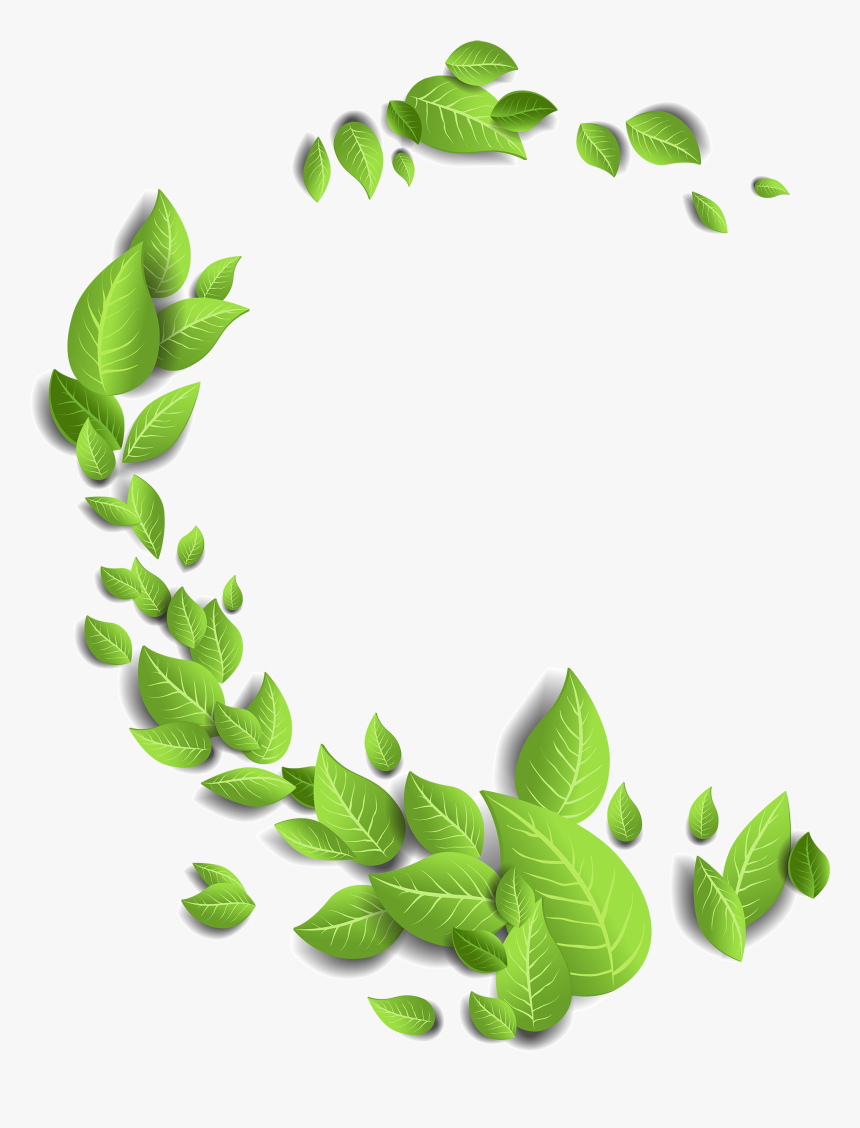 Detail Leaf Hd Png Nomer 29