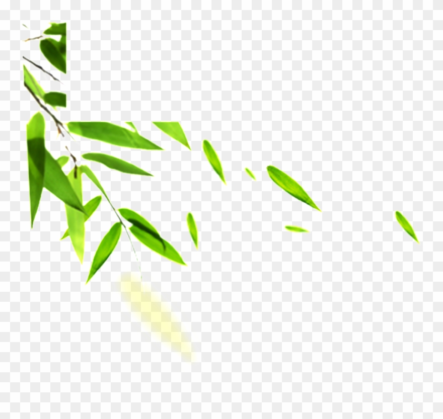 Detail Leaf Hd Png Nomer 34