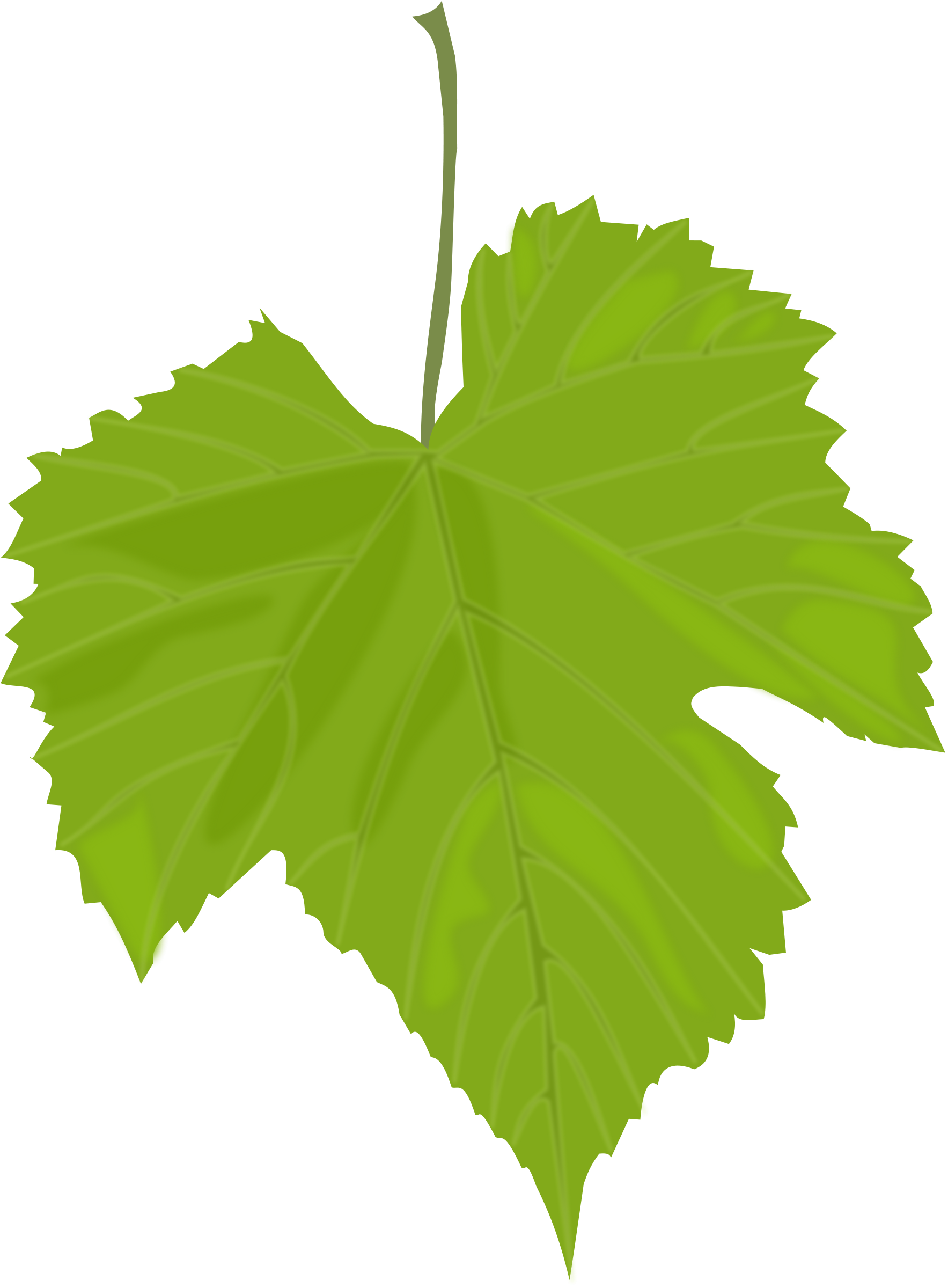 Detail Leaf Hd Png Nomer 41