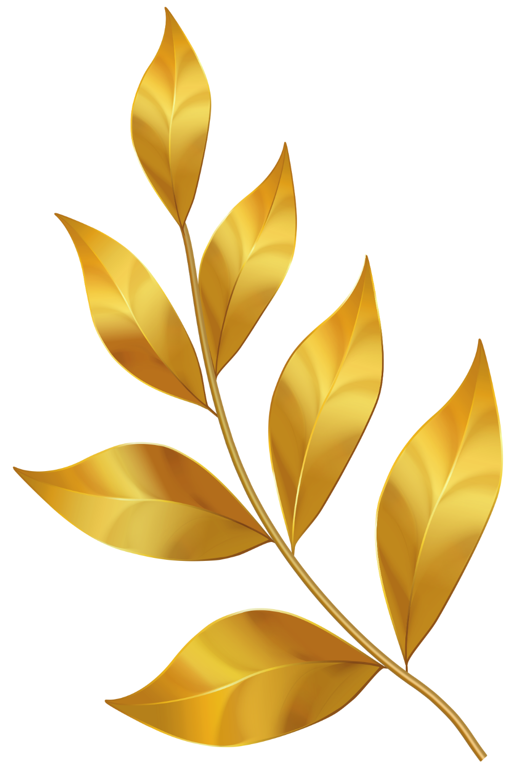 Detail Leaf Image Png Nomer 30