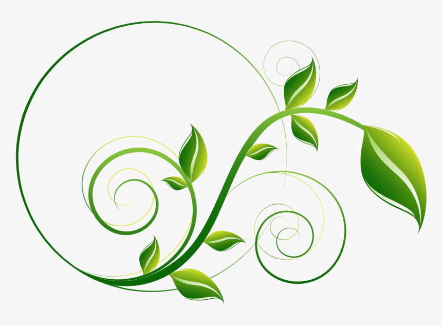 Detail Leaf Image Png Nomer 45