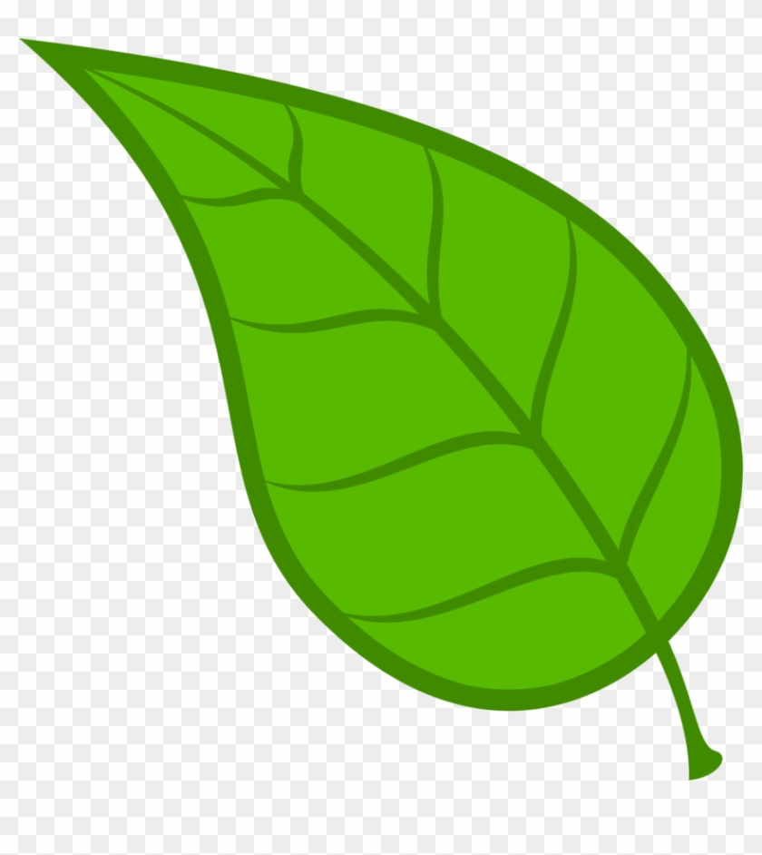 Detail Leaf Image Png Nomer 51