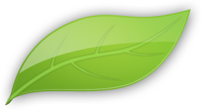 Detail Leaf Image Png Nomer 55