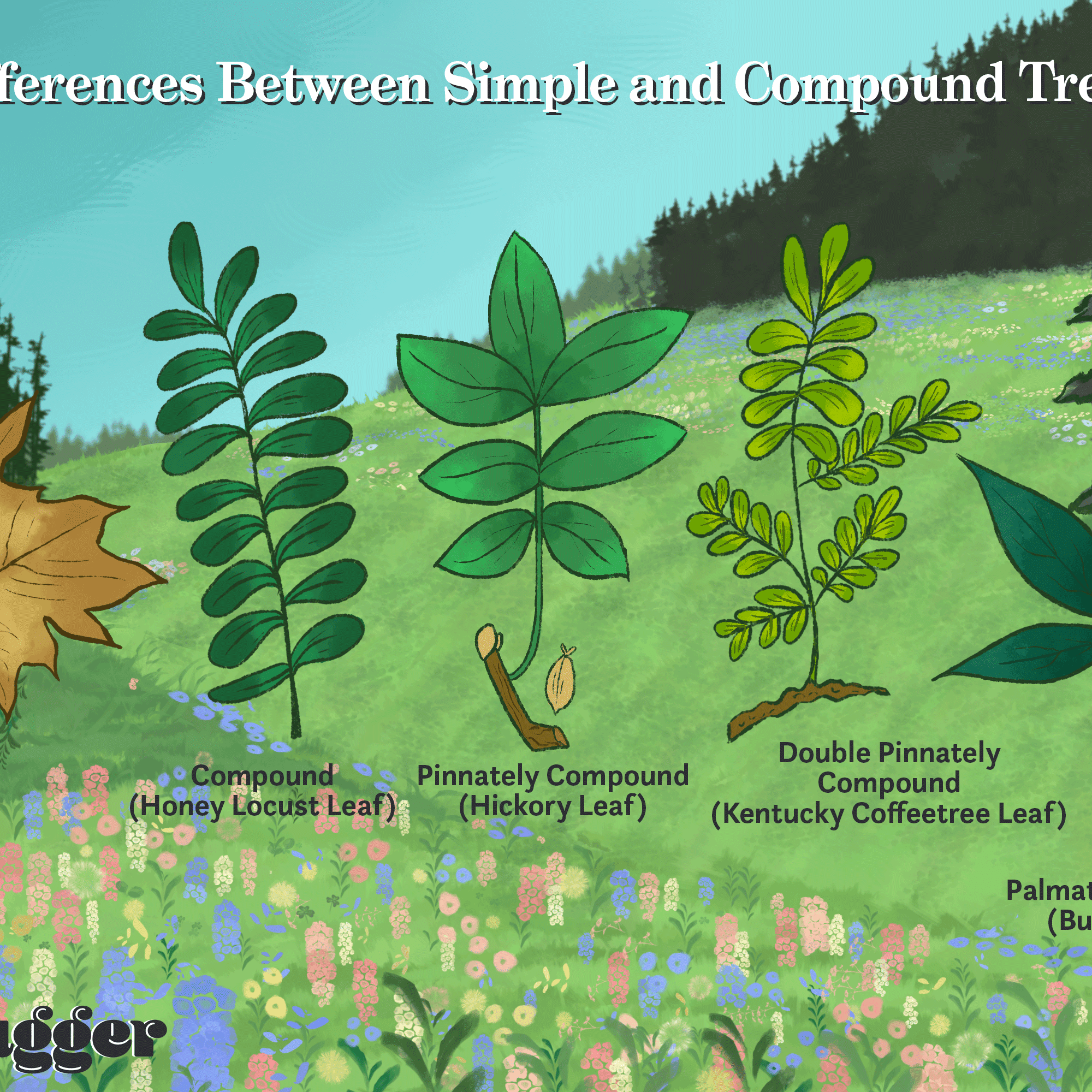 Detail Leaf Images Nomer 46