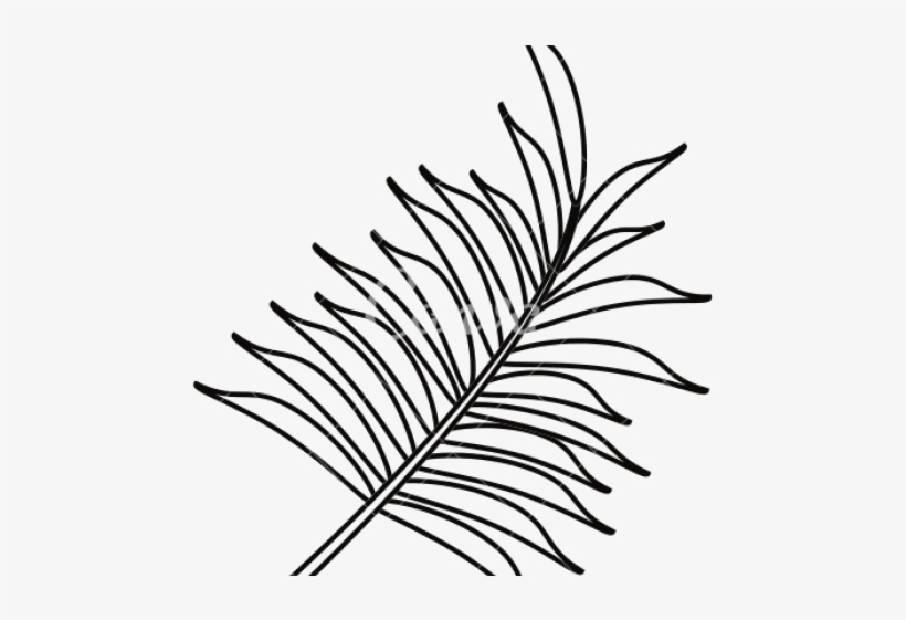 Detail Leaf Palm Png Nomer 33