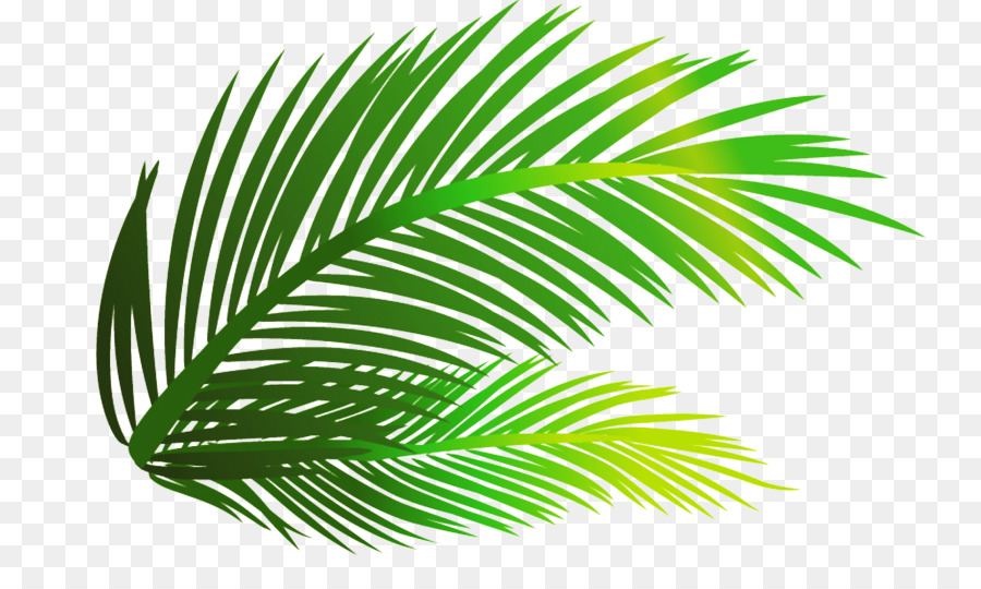 Detail Leaf Palm Png Nomer 38