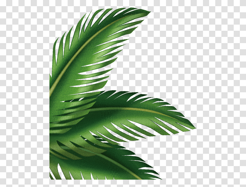 Detail Leaf Palm Png Nomer 56